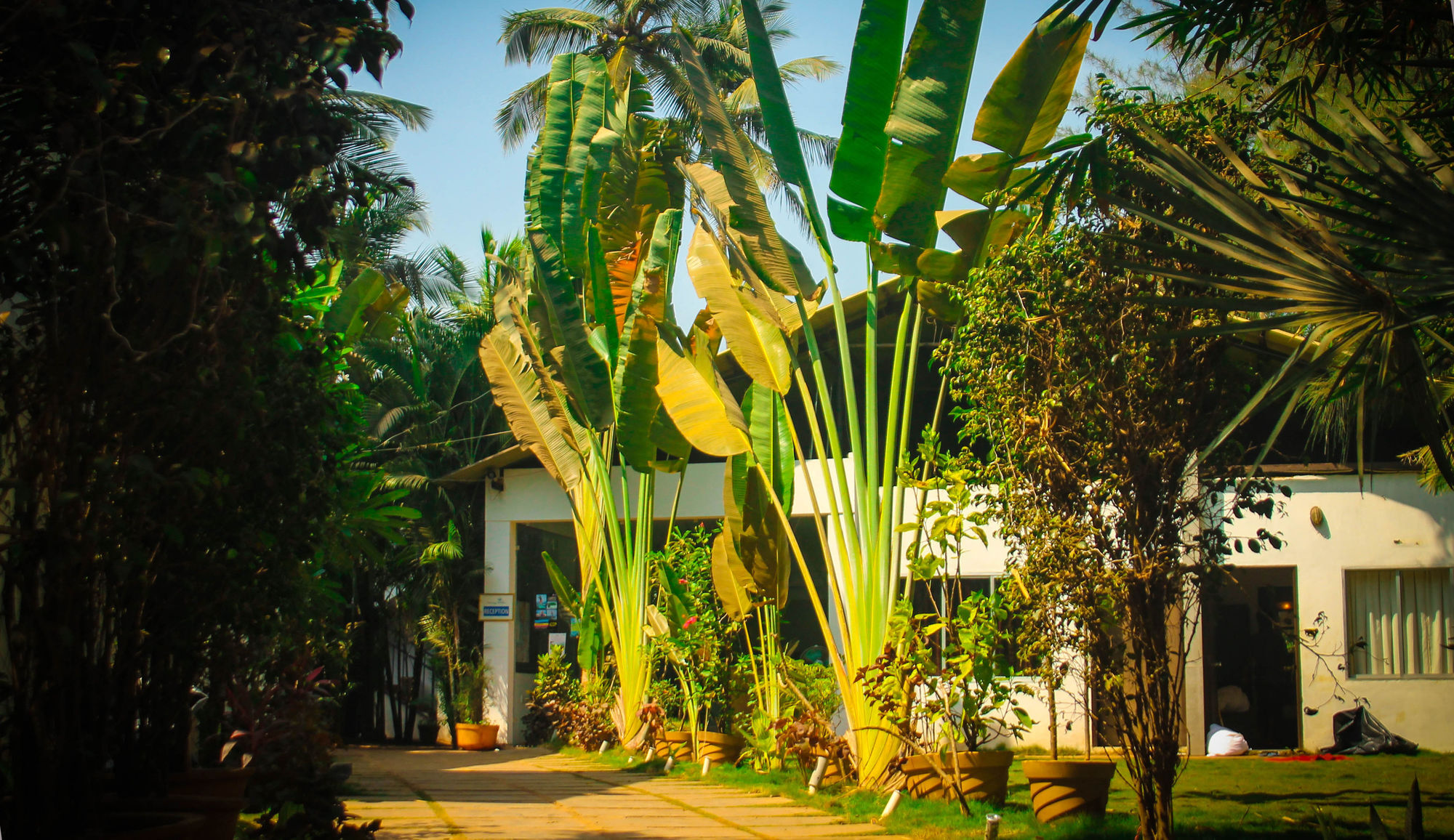 Rococco Ashvem Hotel Mandrem Exterior photo